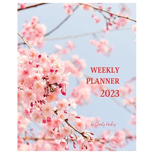 Weekly Planner 2023: Cool Kindle Scribe Digital Interactive 2023 Weekly Planner For Organization and Productivity; Budget and Monthly Planner with Quotes / Best Planner For Men and Women