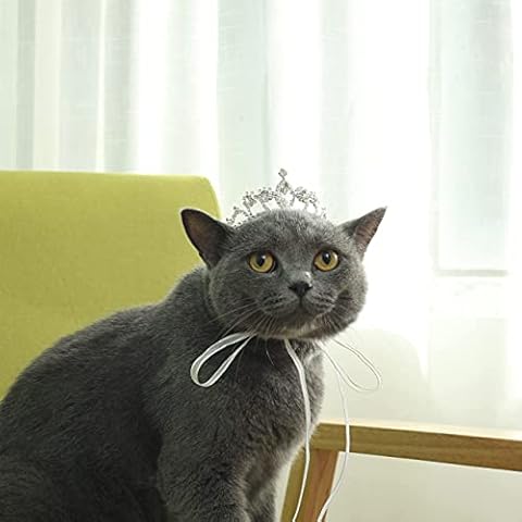 Lovelyshop Pet Series Crystal Rhinestone Dog/Cat Tiara Crown for Costume Small Dog Hair Accessories Cover