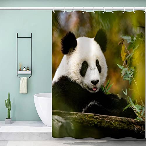 VASENA Duschvorhang 180x180 Erwachsene Duschvorhang Panda Bambus 3D Motiv Schwer Stoff Polyester Badvorhang Glücklicher Panda Duschvorhang Waschbar Anti Schimmel