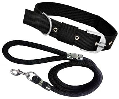 D&C Paws Nylon Dog Belt Combo of 1 inch Multi Color Dog Collar with Multi Color Lead (1.5 M) lengthy Dog Collar & Leash (B09491FPH8) Amazon Price History, Amazon Price Tracker