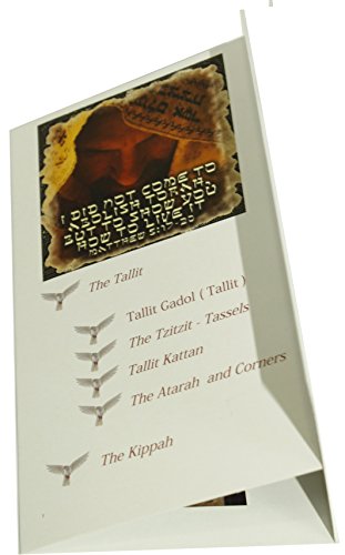 New Covenant Prayer Shawl Tallit English/Hebrew with Matching Case Sky Blue Small3