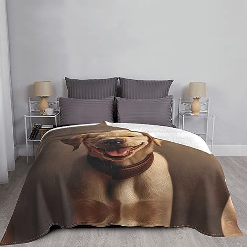 Couverture flanelle labrador douce idée cadeau maîtres de chien - 6