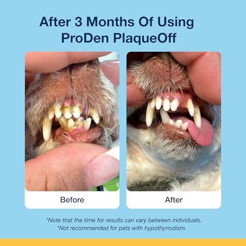 ProDen PlaqueOff Salmon Bites with 60g Powder – Value Bundle for Cat Oral Care, Helps Reduce Plaque, Tartar Build-Up & Bad Breath - Image 5