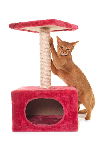 Cuerda de Sisal Natural para Rascador de Gatos 1/2" x 100ft miniatura 2
