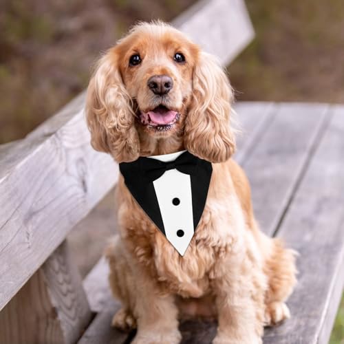 Smoking para cães, fantasia formal de cachorro, coleira bandana de casamento com gravata borboleta p