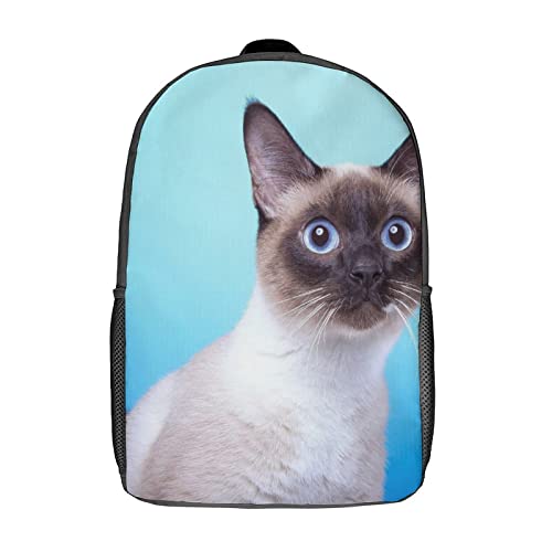 Sac à dos scolaire chat pour le collège, les sorties et les trajets urbains