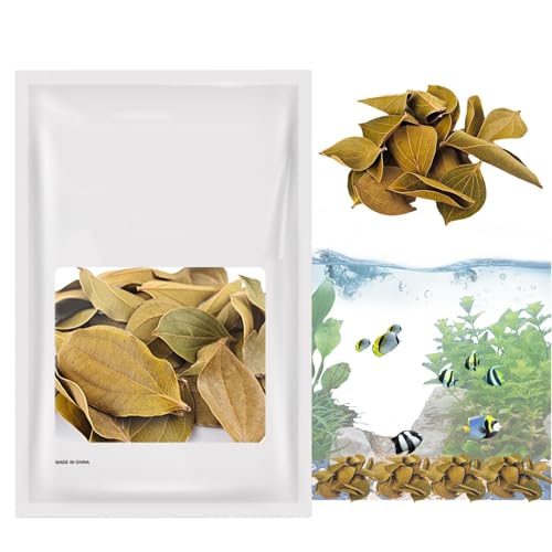 Hojas de quinua para acuario, hojas de quinua para caracoles y cangrejos de río, hojas de quinua de 1.94 a 3.54 pulgadas, hábitat natural, tanino mejora la inmunidad, fácil de usar