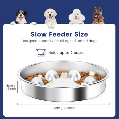 PETTOM Antischlingnapf Hunde Edelstahl, Hundenapf Anti Schling Ø21 cm, Anti Schling Napf Hund Groß, Schlingnapf Hunde Slow Feeder