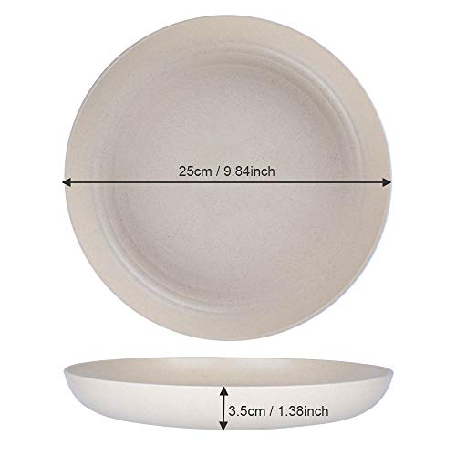 hombrima 10" Family Dinner Plates, 4 Pack Unbreakable Plates Dishwasher and Microwave Safe, BPA Free - Image 3