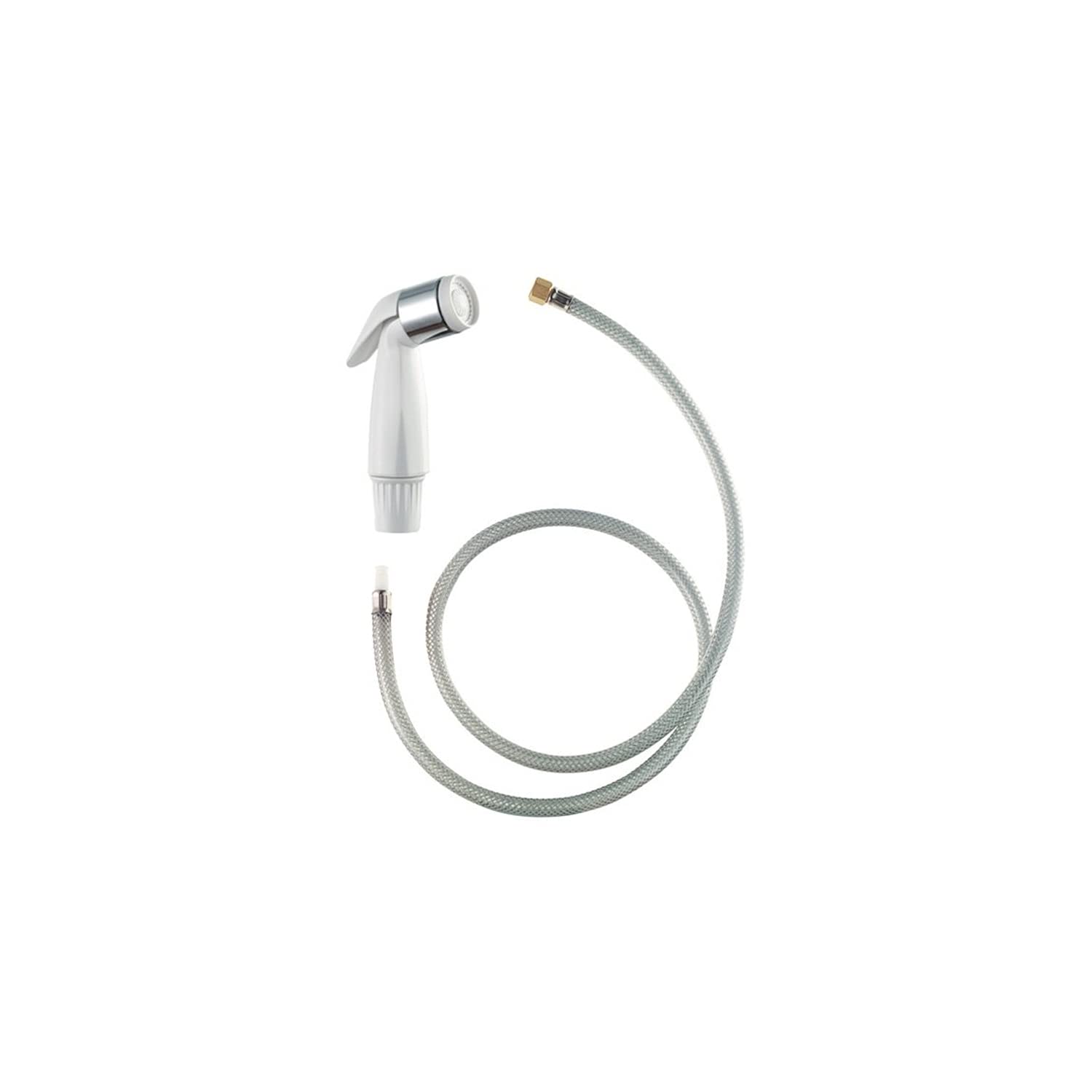 Plumb Craft 7635700 - Spruzzatore e tubo flessibile per lavello