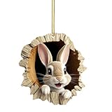 Decoración de árbol, acrílico 2D vintage para colgar en el árbol, letrero de bosque de huevo para árbol, conejo de Pascua