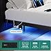 YITAHOME Full Size Floating Bed Frame, LED Bed Frame with Charging Station, Metal Platform Full Bed with Heavy Duty Steel Slats Supports, No Box Spring Needed, Easy Assembly, Black