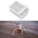 Leefasy Reptile Feeding Box Hatching Container Critter Transport Reusable Clear Terrarium Habitat Cage for Bearded Dragon Gecko Snake, Style B