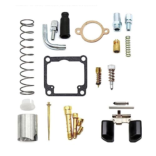 DHAEY Acessórios automotivos Carburador de motocicleta 17,5 mm 19,5 mm Kit de reparo de carburador e