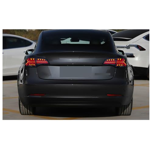 Feux arrière pour Tesla Model Y LED remplacement clignotant - 5