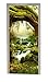 A.Monamour Stickers Muraux Mystérieux Vert Jungle Arbres Ruisseaux Forêt Tropicale Été Nature Paysage Art Décors Vinyle Chambre Porte Stickers Papier Peint Peintures Murales Porte Autocollants