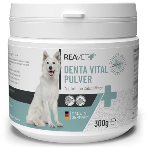 ReaVET Denta Vital Zahnpflege Pulver Hund & Katzen 300g - Zahnsteinentferner, Mittel gegen Zahnstein Hund Katze I Gegen Mundgeruch bei Hunden, Zahnpflege Katzen ReaVET Denta Vital Zahnpflege Pulver Hund & Katzen 300g - Zahnsteinentferner, Mittel gegen Zahnstein Hund Katze I Gegen Mundgeruch bei Hunden, Zahnpflege Katzen