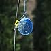 Backyard Expressions - Set of 3 Squirrel Proof Bird Feeders for Outside - Bonus Ebook and Bird Attraction Audio Included - Squirrel Resistant Bird Feeders