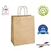 100Pcs Brown Paper Bags 7.8x4.25x10.6