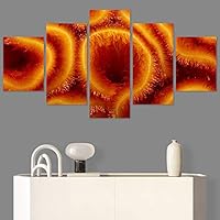 SIGNWIN 5 Panel Canvas Wall Art Modern Art Abstract Closeup Industrial Modern Art Multicolor Patterns for Home Decorations Ready to Hang - 60