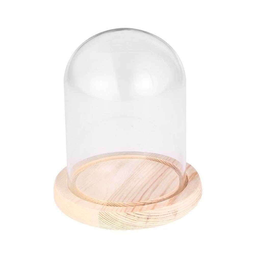 LOMNCHSG Glass Cloche Dome, Glass Cloche Jar Transparent Display Case With Wood Base 9-10x12-20cm Home Desk Decor(9x12CM)