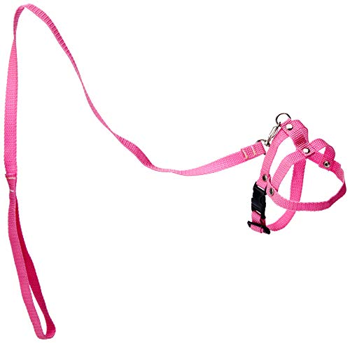 Tudo Pet Guia Peitoral Nylon Liso N. 1 para Cães, (cores sortidas)