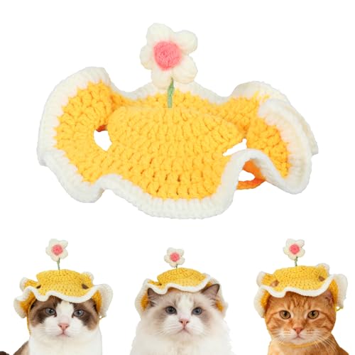 L aXq t ߉\ȃjbgLXq 킢Ԃ̃fUCt ap[eB[ x tHgZbV j fR[V (CG[)