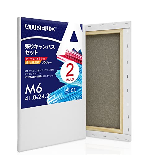 AUREUO 張りキャンバス セット M6 中目 綿化繊混紡 2枚 初心者 絵画用具 芸術絵創作 現代油絵 美術装飾 水彩画 油絵画 アクリル兼用