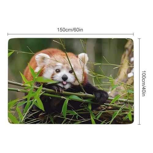 Tapis de sol doux absorbant et antidérapant velours de corail salon chambre