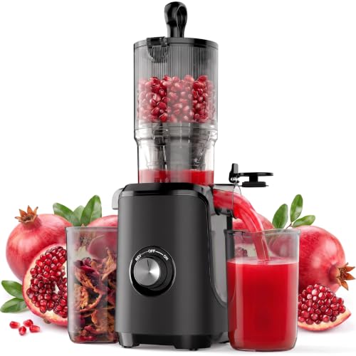 KMFurnila Juicer Machines, Electric Slow Masticating Cold Press Juicer