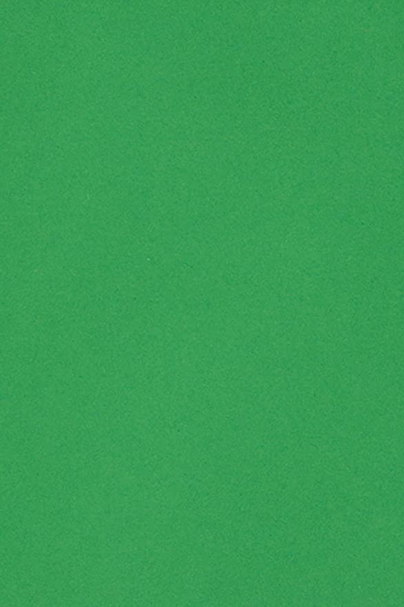 Netuno 50x cartón color verde DIN A5 148,5x210mm 250g Burano Verde Bandiera papel doble cara cartulina para impresora láser inkjet scrapbooking invitaciones boda manualidades tarjetas bricolaje carta