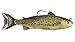 LiveTarget TRS168MS715 Trout Adult Series Freshwater Swimbait, Olive/Red