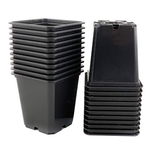 Bato 30 x Anzucht-Topf 0,5-L 9x9x10-cm zur Vor-Zucht geeignet Robuster Profi Anzucht Pflanztopf Blumentopf Vierkant Viereck-ig PP Kunstoff 4-Kant Pflanztopf für Stecklinge und Saemlinge
