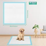 Vexillic PIPI Matten für Hunde, 40 Stück Welpen Unterlagen, 60 x 60cm Trainingspads für Hunde Hygieneunterlagen Auslaufsicher 6-Lagig mit Schnell Trocknender Oberfläche Design (40, 60 * 60 cm)