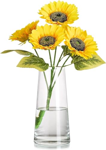 Best Decorative Vases: Glass vs Ceramic 35 SPHINX Decorative Glass Vase for Flowers Plants Home Decor Living...