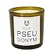 Ellis Brooklyn MYTH Body Oil - Scented Body Oils for Women and Pseudonym Scented Candle - Soy Wax, Home Decor