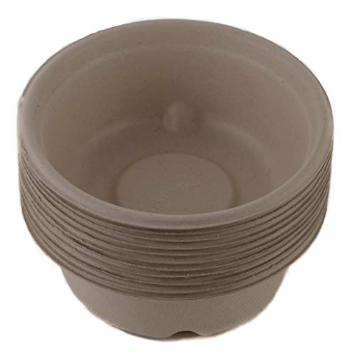 [25 Pack] 12Oz Round Disposable Compostable Bowls With Lids Natural Sugarcane Bagasse Bamboo Fibers Sturdy Eco Friendly Environmental Paper Plastic Bowl Alternative Tree Free #TOP1