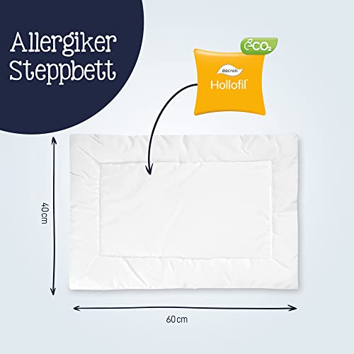 Julius Zöllner Kissen Hygiena, waschbar 95°C, allergikergeeignet, Standard 100 by OEKO-TEX, Größe 40x60 cm