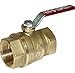 Legend Valve Valve 101-055NL T-1001LD Full Port Lock Device, 1"