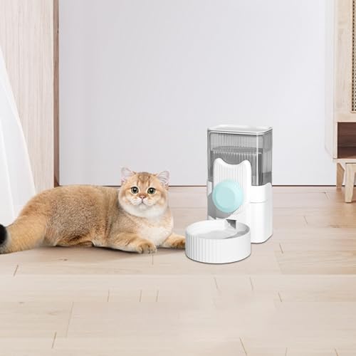 Distributeur d'eau pour lapin en cage - Bouteille suspendue pour furet et chinchilla