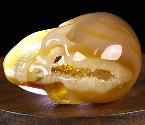Calavera de Cristal Ágata Geoda 2.0 pulg miniatura 2