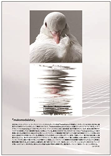 Amazon.co.jp: 秋田 昌美 (Masami Akita / Merzbow): 本
