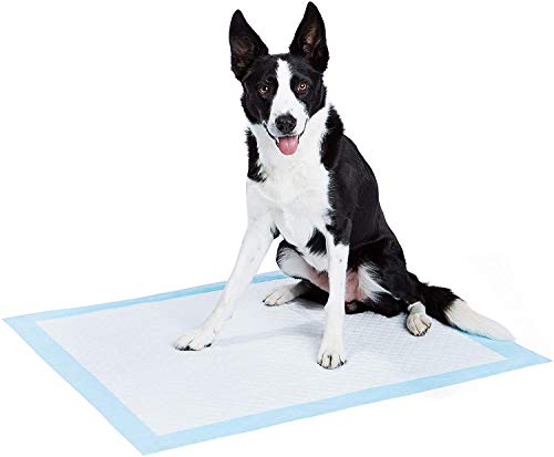AmazonBasics Dog and Puppy Pee, Potty Training Pads, Heavy Duty X-Large (28 x 34) - Pack of 25