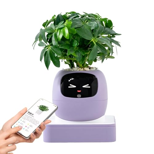 Maceta Inteligente: Jardinera con Guía