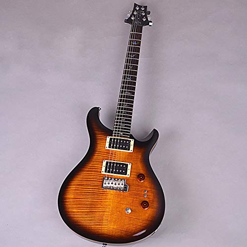 Amazon | PRS 35th Anniversary SE Custom24 35周年記念モデル ポール