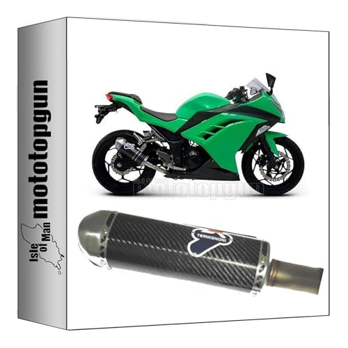 Pot echappement relevance carbon racing allegé pour booster la Kawasaki Ninja 300 R