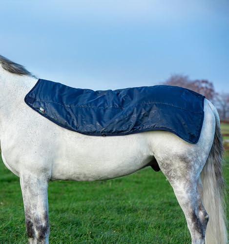 Forro Rambo Summer Series de 100g manta ligera Horseware para el cuidado equino 2