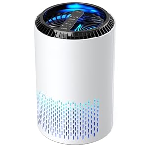 Luftreiniger Allergiker, Raumluftreiniger HEPA-Filter gegen Pollen & Schimmel, Air Purifier mit Timer, Aroma-Diffusor für Staub & Geruch