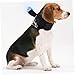 Parliky Pet Bathing Suction Cup Holder Dog Grooming Tool Cat Dog Bathing Leash Wall Mount Stabilize Pet