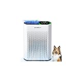 Air Purifier for Large Rooms up to 2,400 ft², 30-Min Rapid Cleaning, 3-Stage HEPA, 360° Airflow, PM2.5 Display, Touch Control, 20dB Sleep Mode